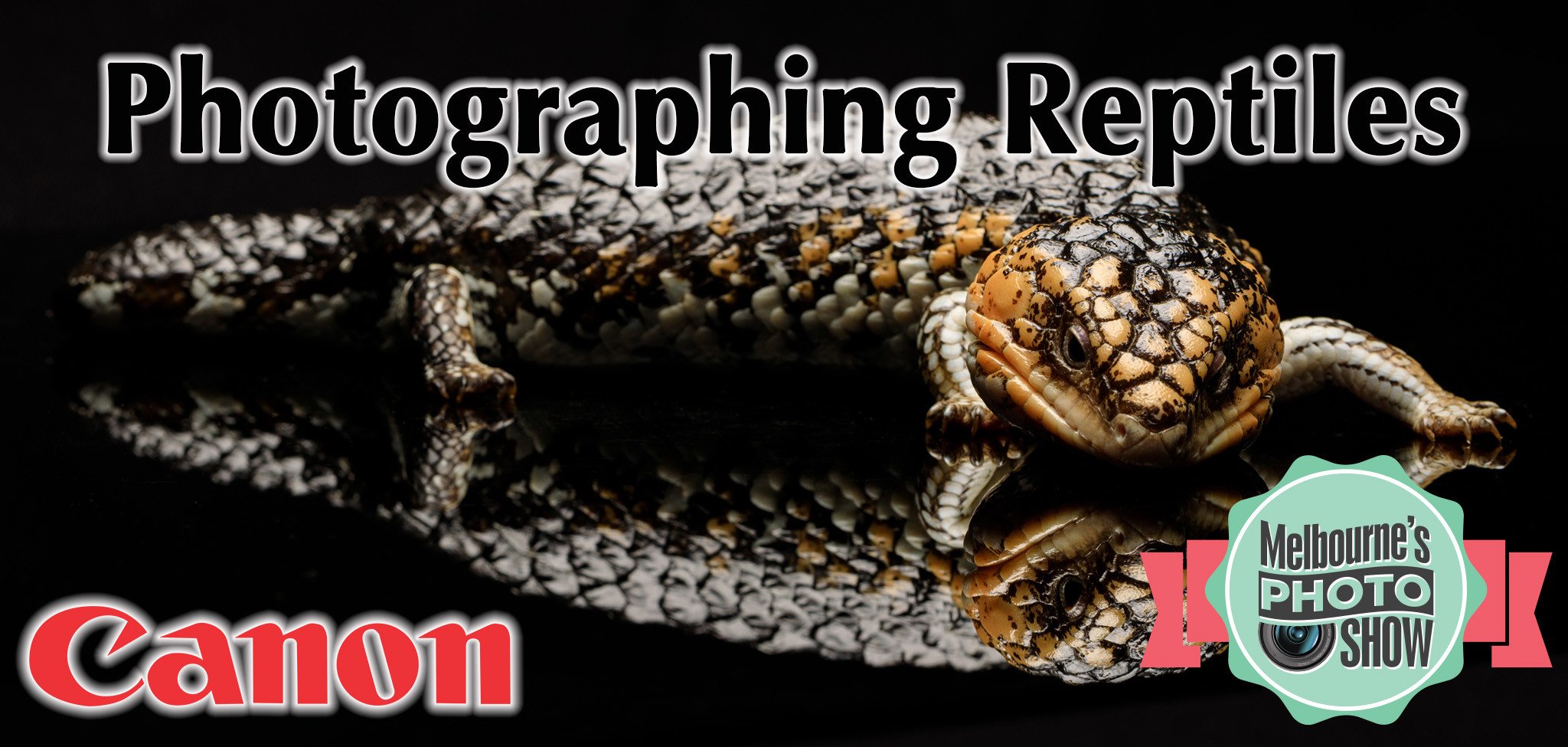 Photographing Reptiles - Free Event all Day - Saturday 8th April