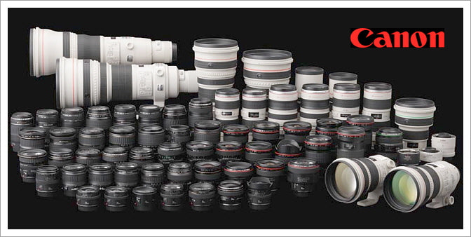 Which Canon Lenses Will Work With Your Camera